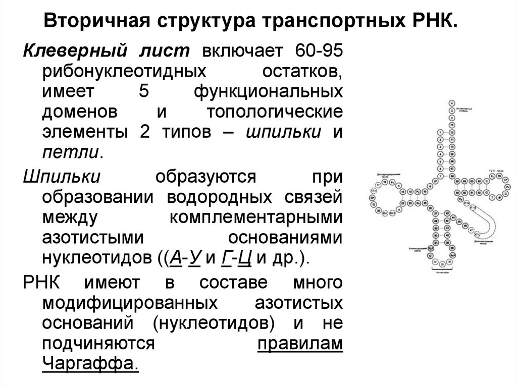 Признаки трнк