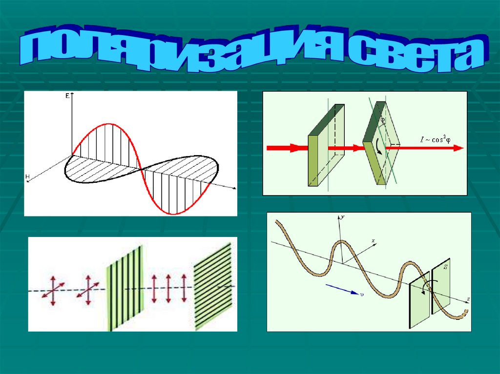 Поперечность световых волн поляризация света презентация 11 класс