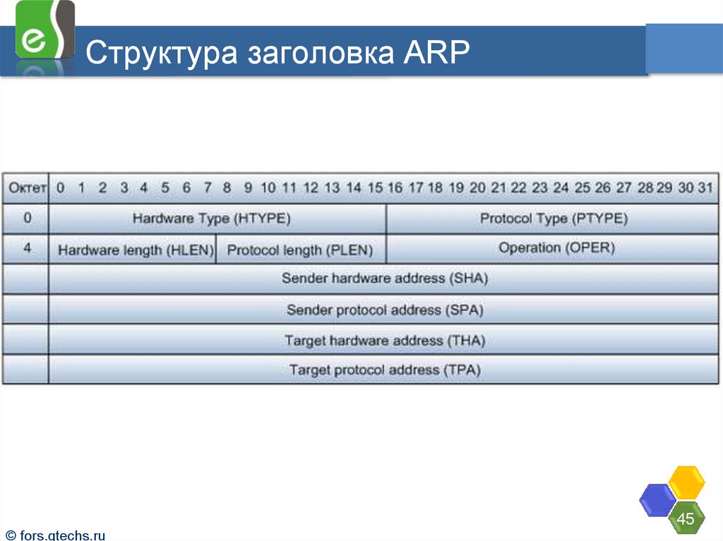 Структура заголовка ARP