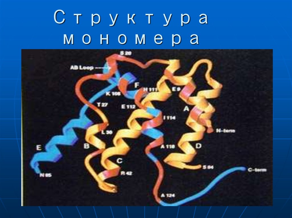 Мономеры - презентация онлайн
