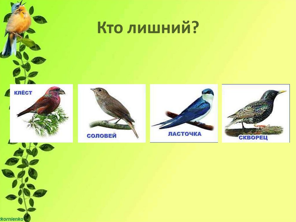 Игра дем.мат. Перелетные птицы с-765 киров