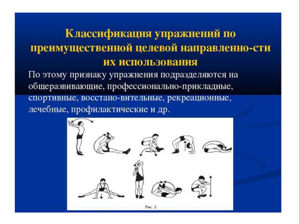 Классификация упражнений по анатомическому признаку