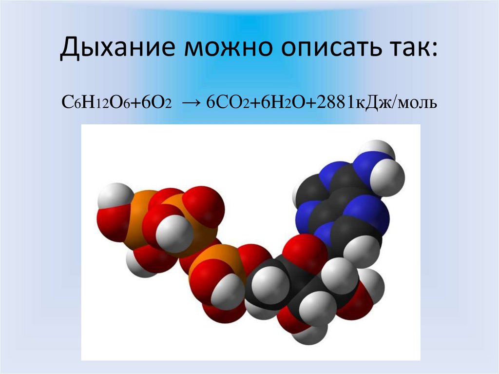 Дыхание можно описать так: