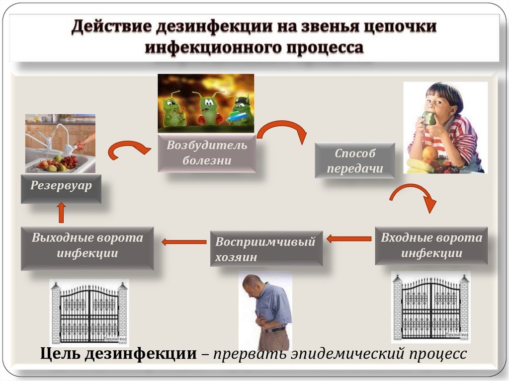 Условия инфекционного процесса