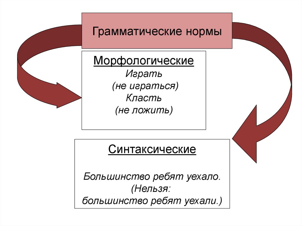 Свойства языковых норм