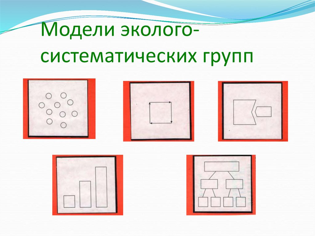 Модели эколого систематических групп для дошкольников картинки