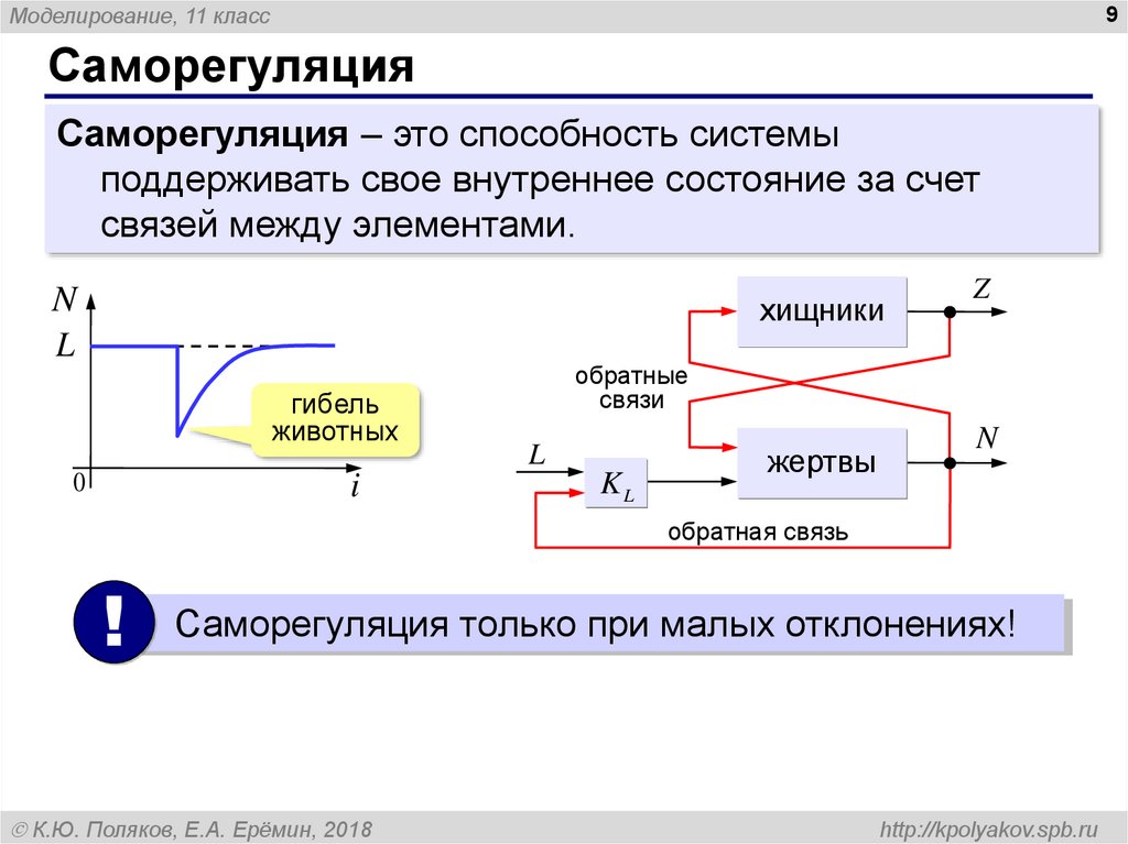 Моделирование 11 класс. Обратная связь саморегуляция. Моделирование саморегуляция. Моделирование обратной связи это. Саморегуляция в информатике.