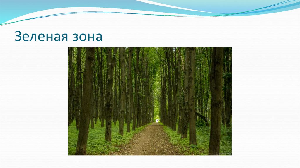 Зеленая зона