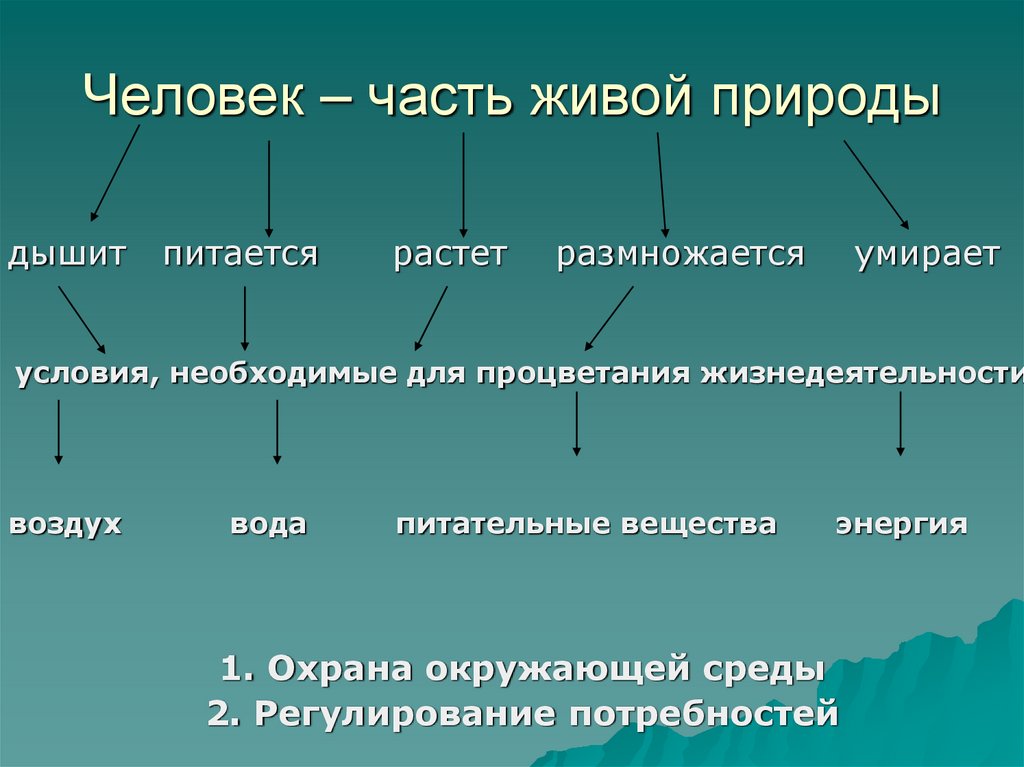Человек – часть живой природы