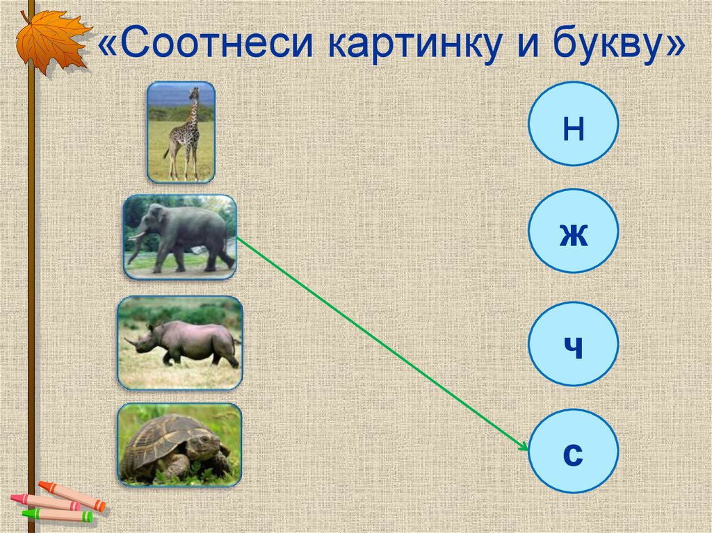 Соотнеси изображение с названием