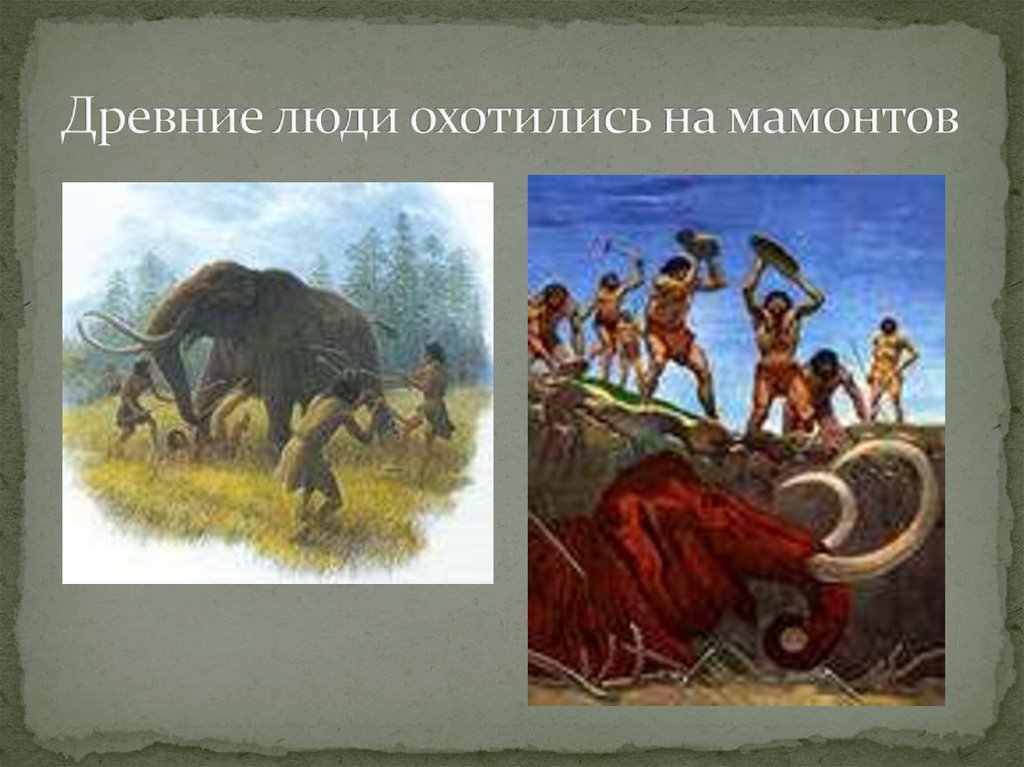 Древние люди охотились на мамонтов