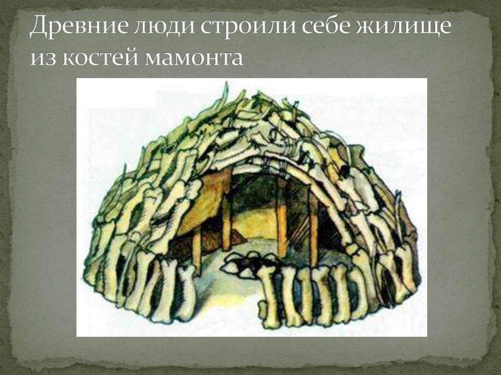 Древние люди строили себе жилище из костей мамонта