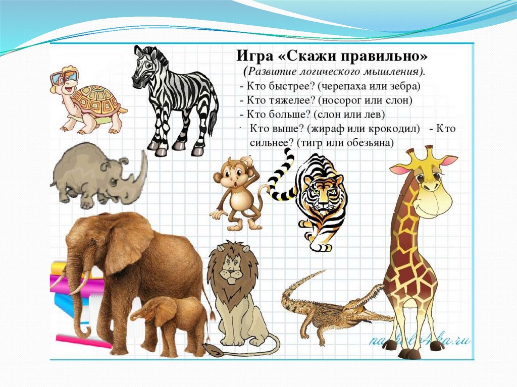 Текст про зоопарк 4 класс