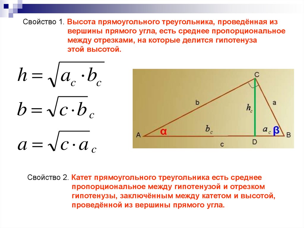 Геометрия пропорциональные отрезки