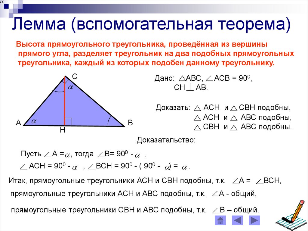 Пропорциональные отрезки рисунок