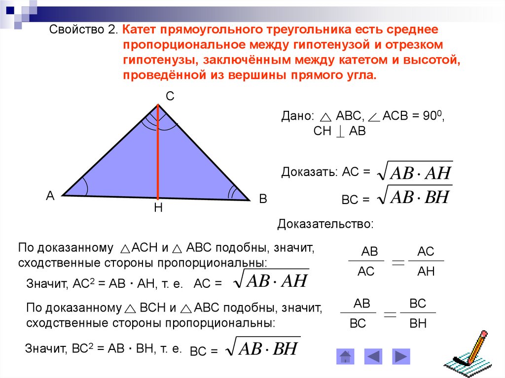 Геометрия 8 класс пропорциональные отрезки. Катет прямоугольного треугольника есть среднее пропорциональное. Высота прямоугольного треугольника есть среднее пропорциональное. Среднее пропорциональное геометрия 8 класс. Что значит пропорционально в геометрии.