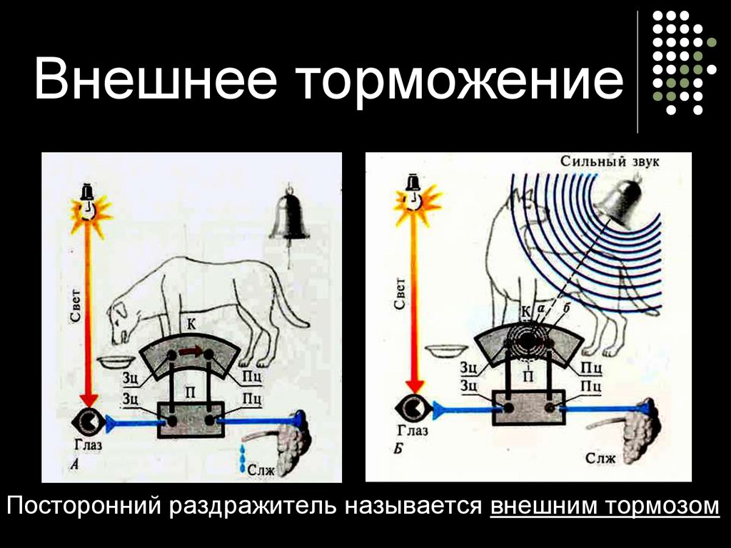 Нарисуйте схему развития внешнего торможения