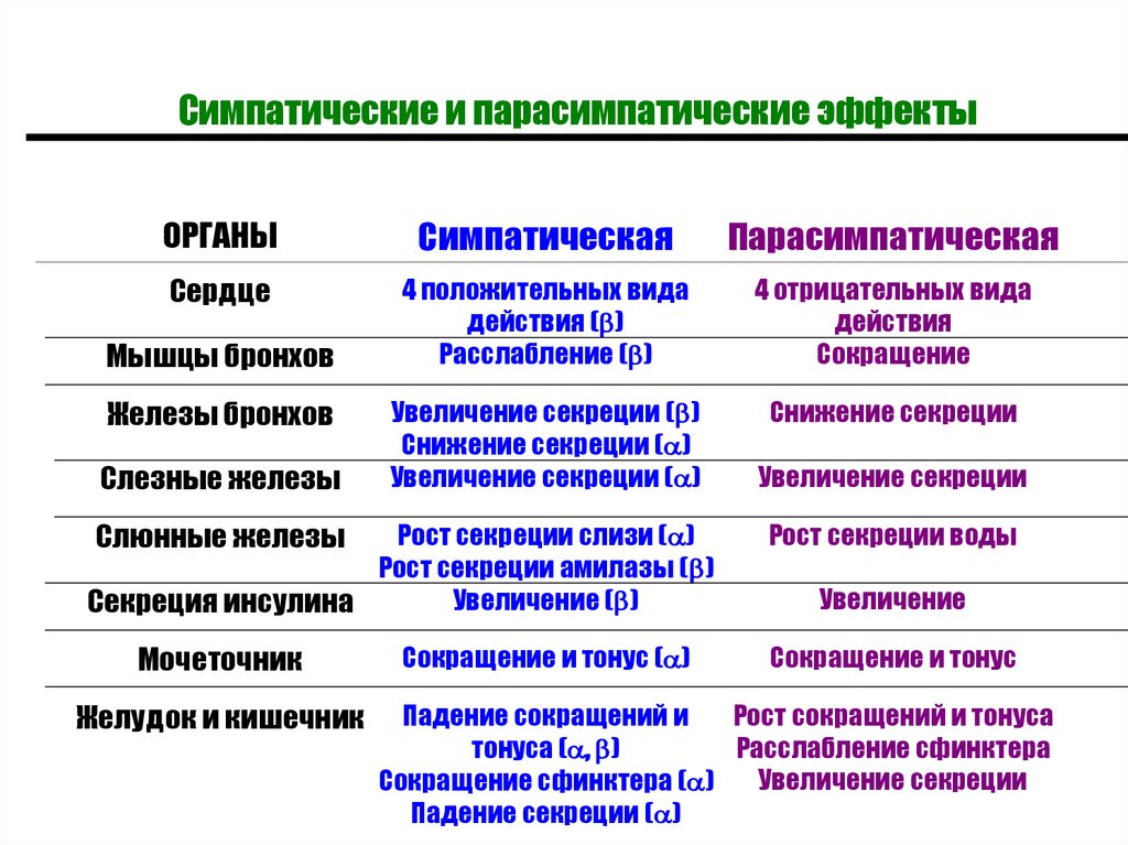 Уменьшает вентиляцию легких симпатическая или парасимпатическая. Моносимпатическая регуляция это. Нормальная физиология лекции. Симпатическая и парасимпатическая регуляция образования мочи. Виды транспорта нормальная физиология.