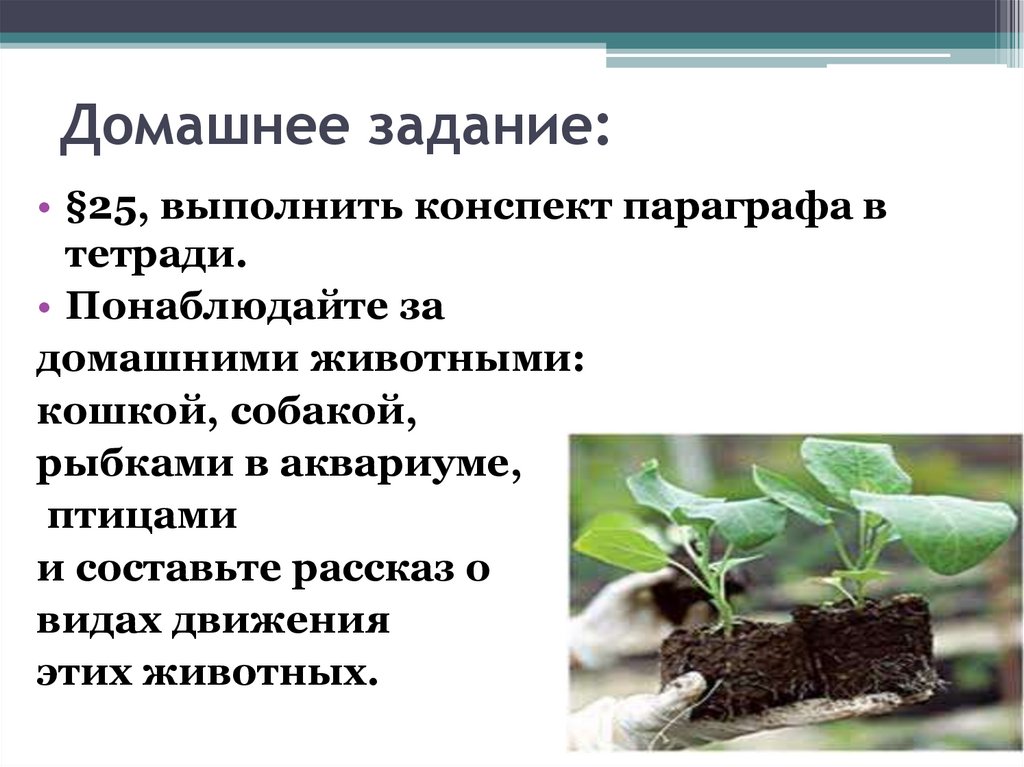 Домашнее задание: