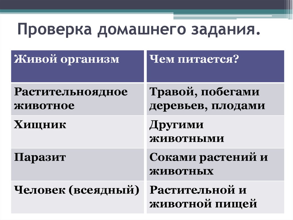 Проверка домашнего задания.
