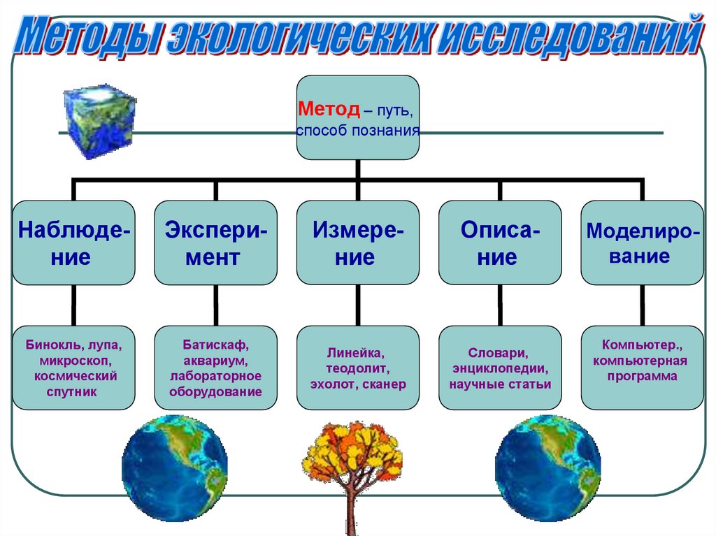 Какая наука занимается изучением земли