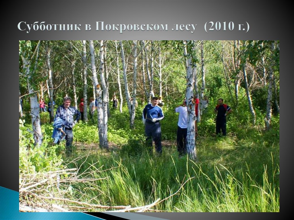   Субботник в Покровском лесу (2010 г.)