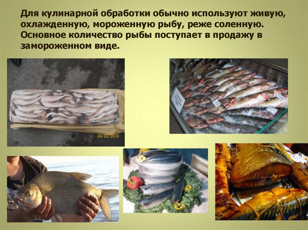 Организация обработки рыбы. Обработка рыбы. Хранение рыбы. Обработка рыбы и морепродуктов. Хранение рыбы в мороженном виде.