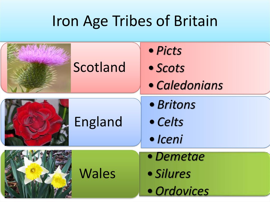 Iron Age Tribes of Britain