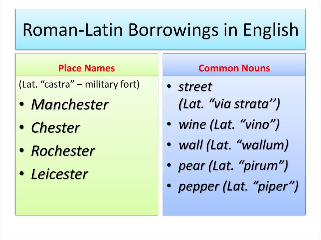 Roman-Latin Borrowings in English