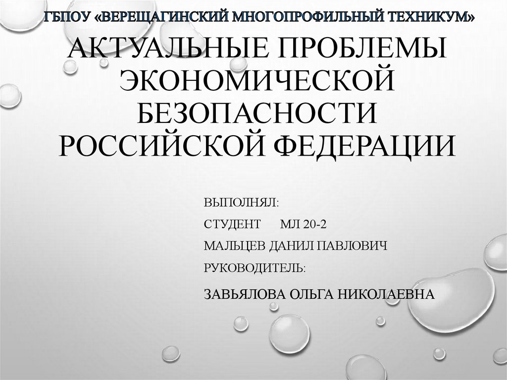 Актуальные проблемы экономической безопасности рф проект