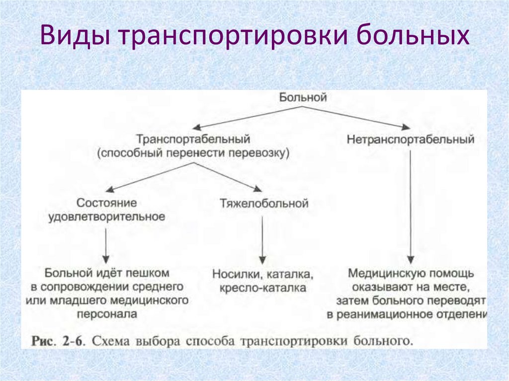 Методы воздействия биологической антисептики на микроорганизмы заполните схему