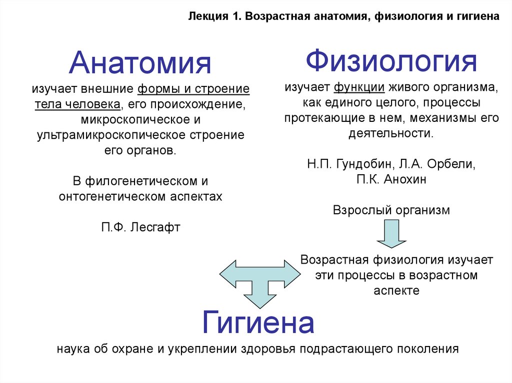 Анатомия физиология психология