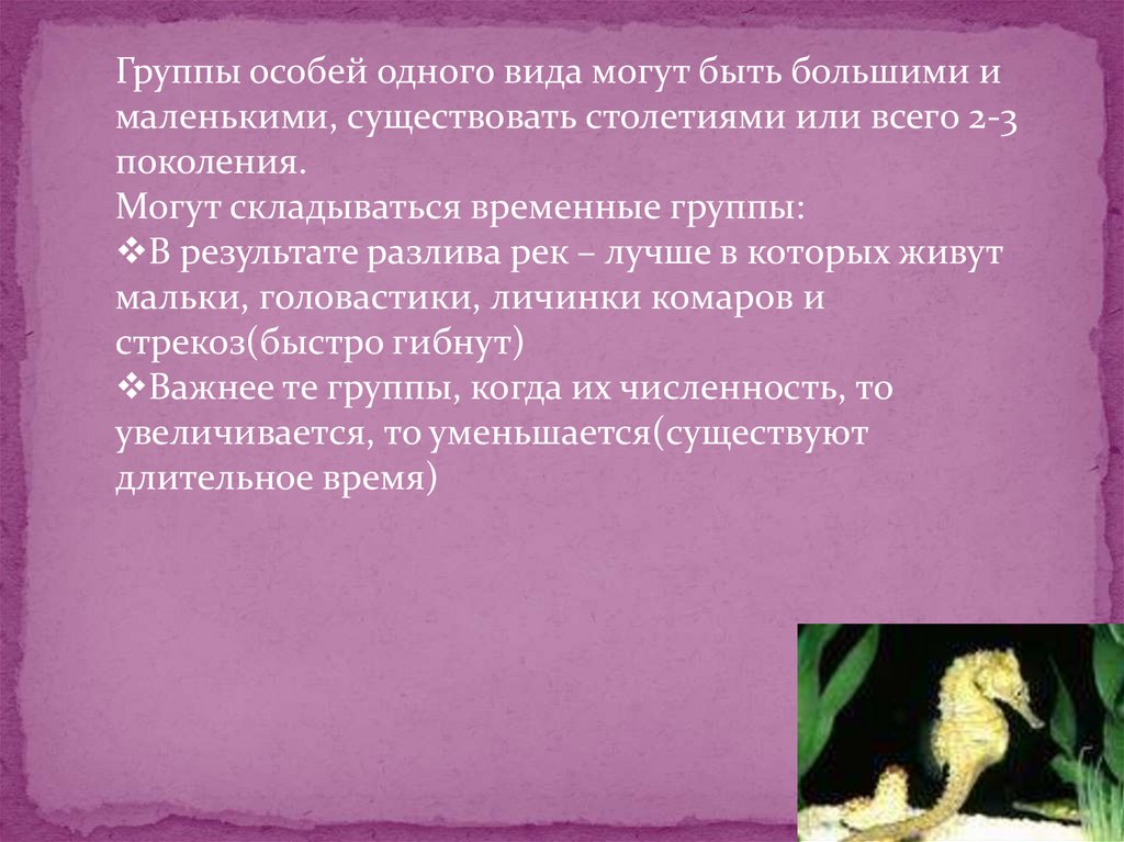 Наименьшее существующее. Группа особей одного вида. Разделение особей одного вида. Обязательные характеристики особей одного вида.