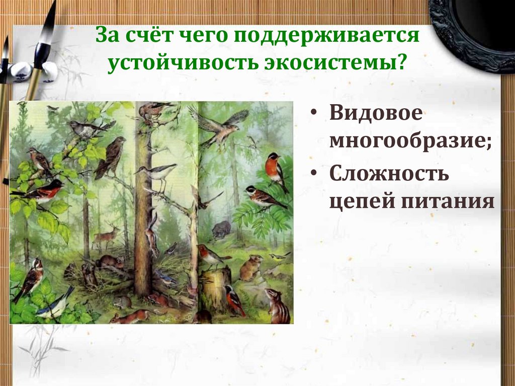 Презентация причины устойчивости и смены экосистем 9 класс биология