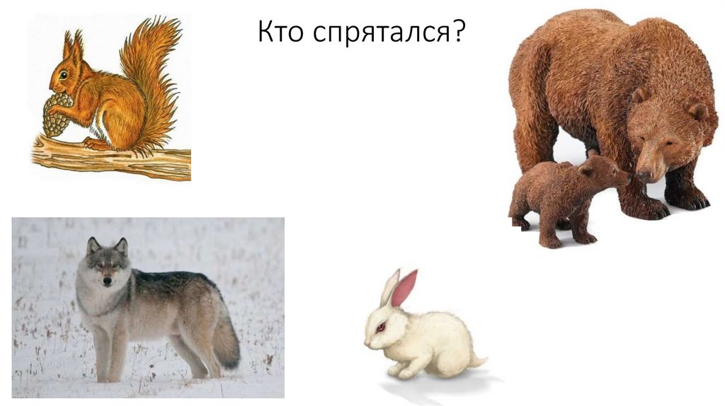 Кто спрятался?