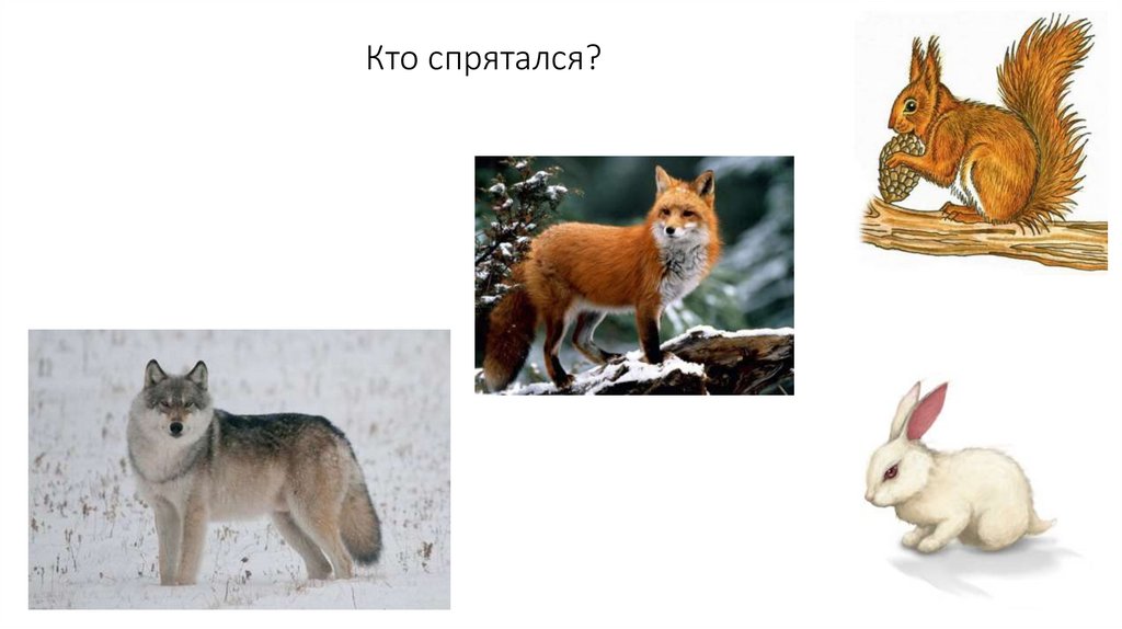 Кто спрятался?
