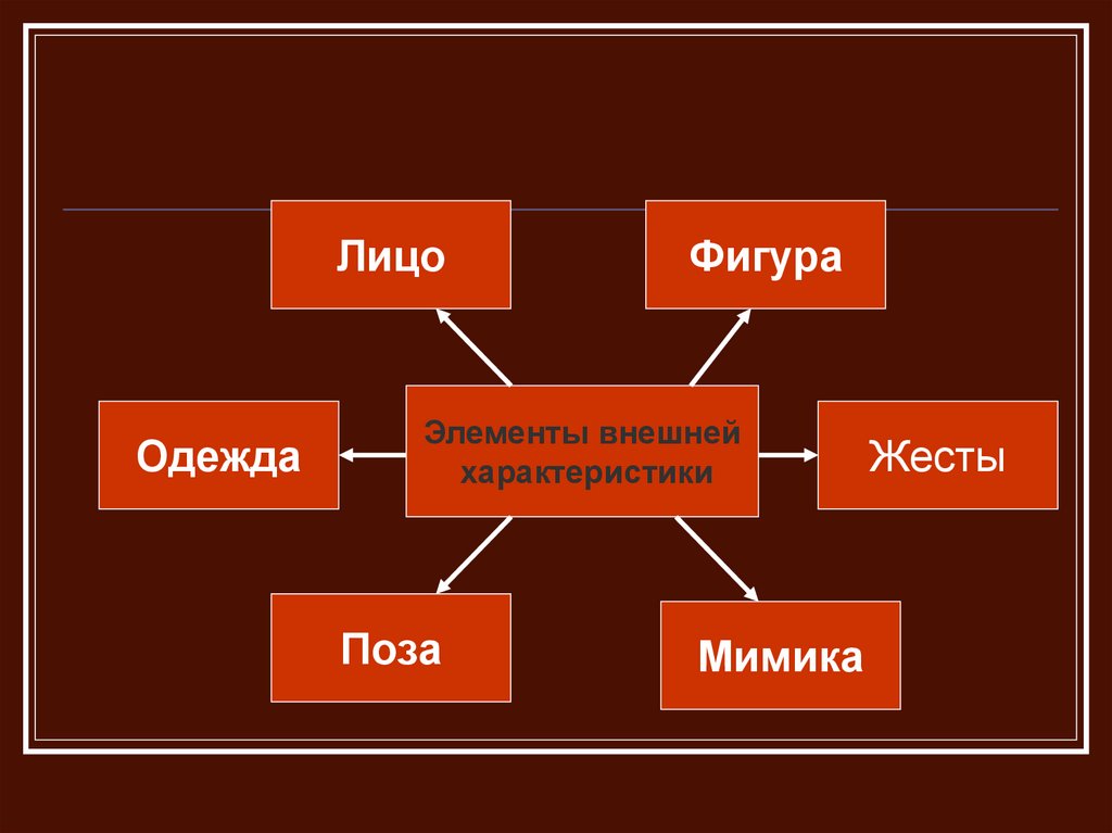 План внешности. Схема описания внешности человека. Внешние характеристики человека. Детали описания внешности человека. Свойства внешности человека.