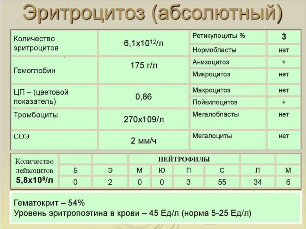 Хр миелолейкоз картина крови