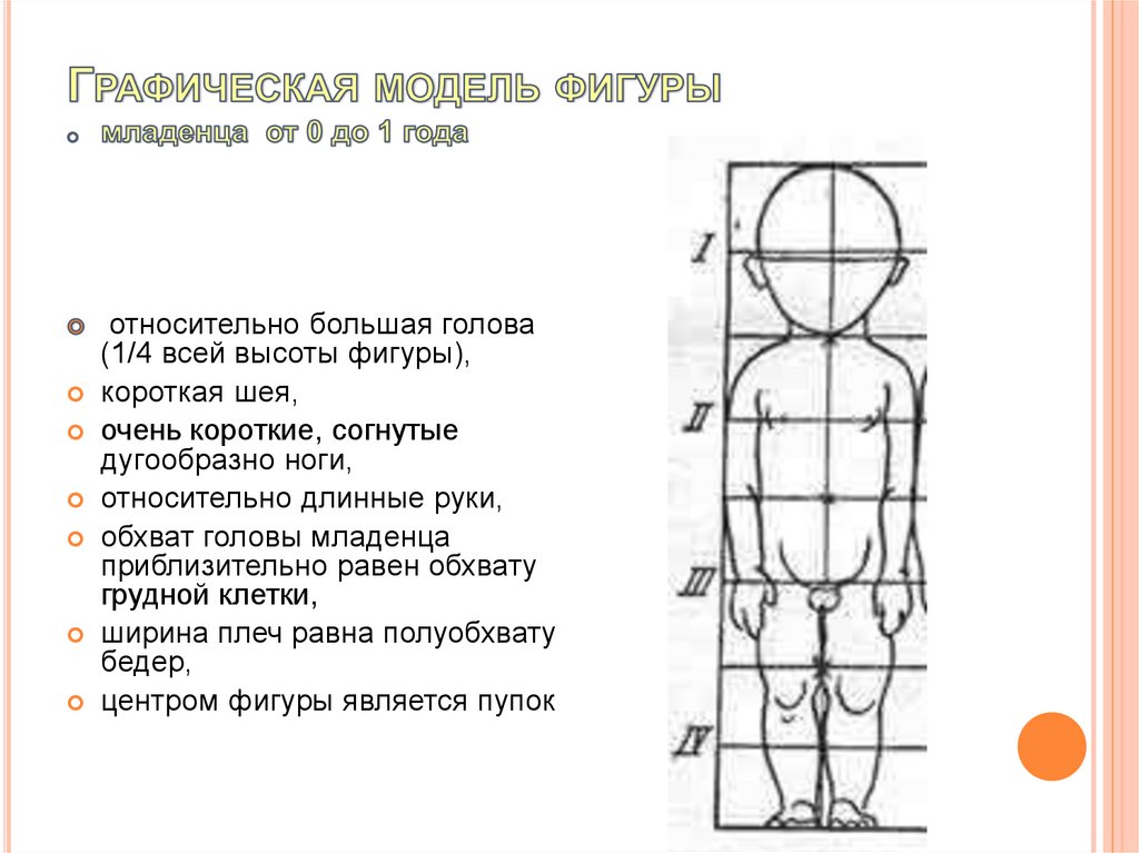 Графическая модель детской фигуры. Последовательность проектирования ...