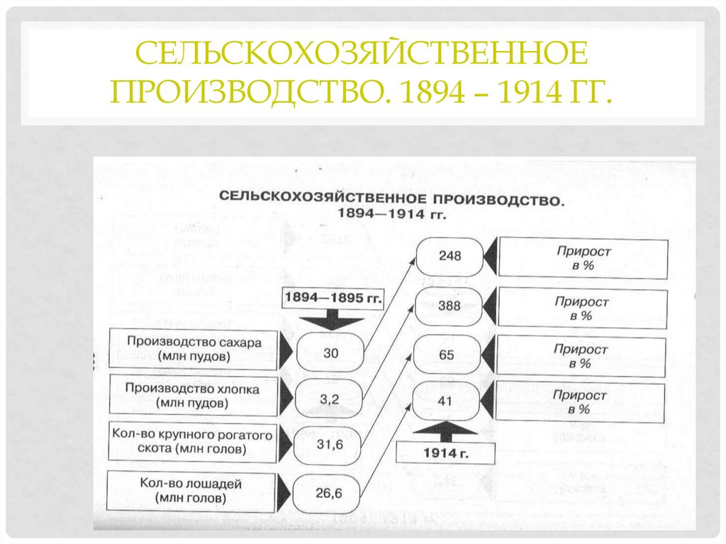 Сельскохозяйственное производство. 1894 – 1914 гг.