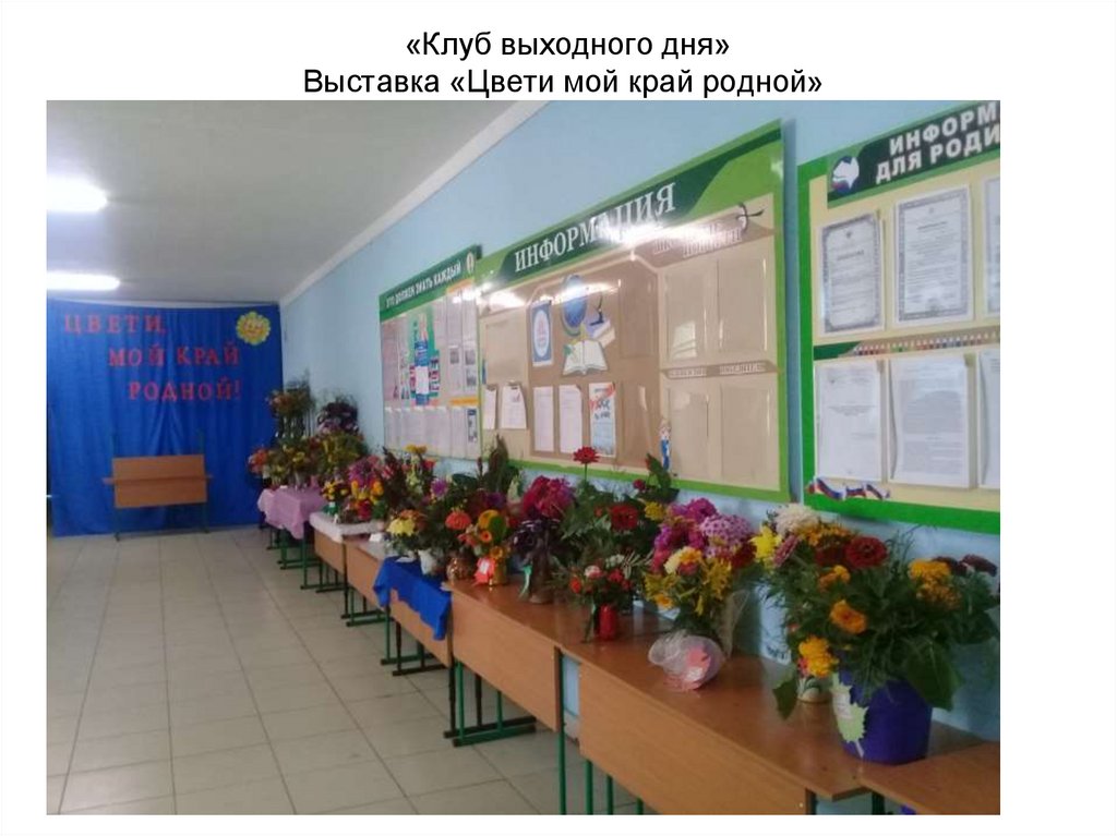 «Клуб выходного дня» Выставка «Цвети мой край родной»