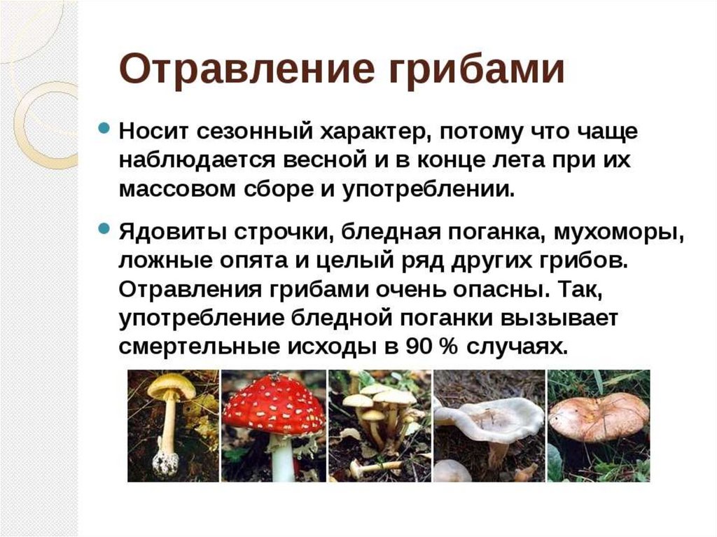 Ядовитые вещества грибы. Отравление грибами клинические проявления. Опасность отравления ядовитыми грибами. Ядовитые грибы вызывающие пищевые отравления. Признаки и первая помощь при отравлении ядовитыми грибами..