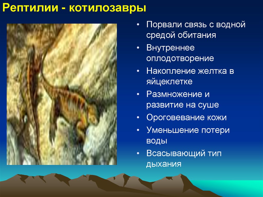 Рептилии - котилозавры