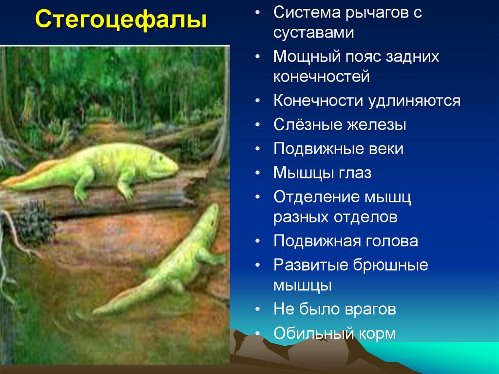 Стегоцефалы