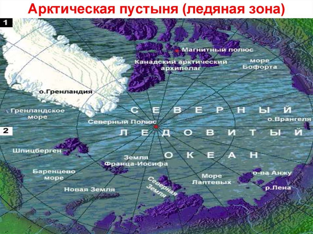 Зона арктических пустынь расположена на каких островах. Географическое положение арктических пустынь в России карта. Арктические пустыни на карте. Зона арктических пустынь географическое положение. Арктическая зона на карте.