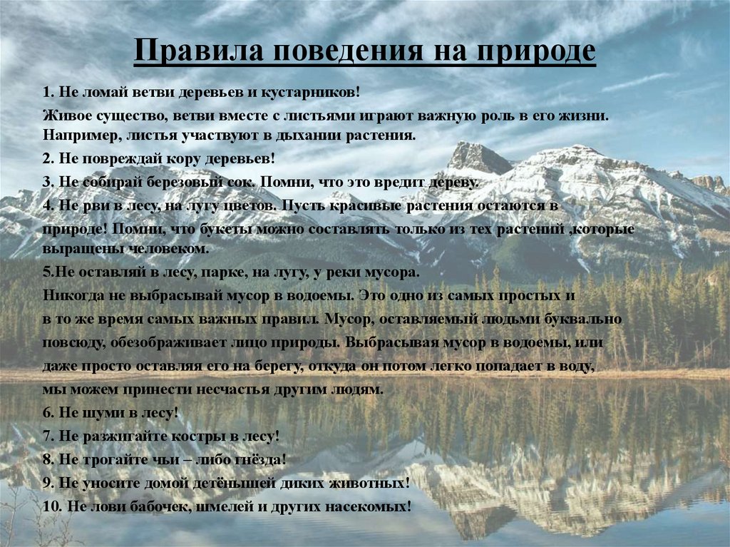 Правила поведения на природе