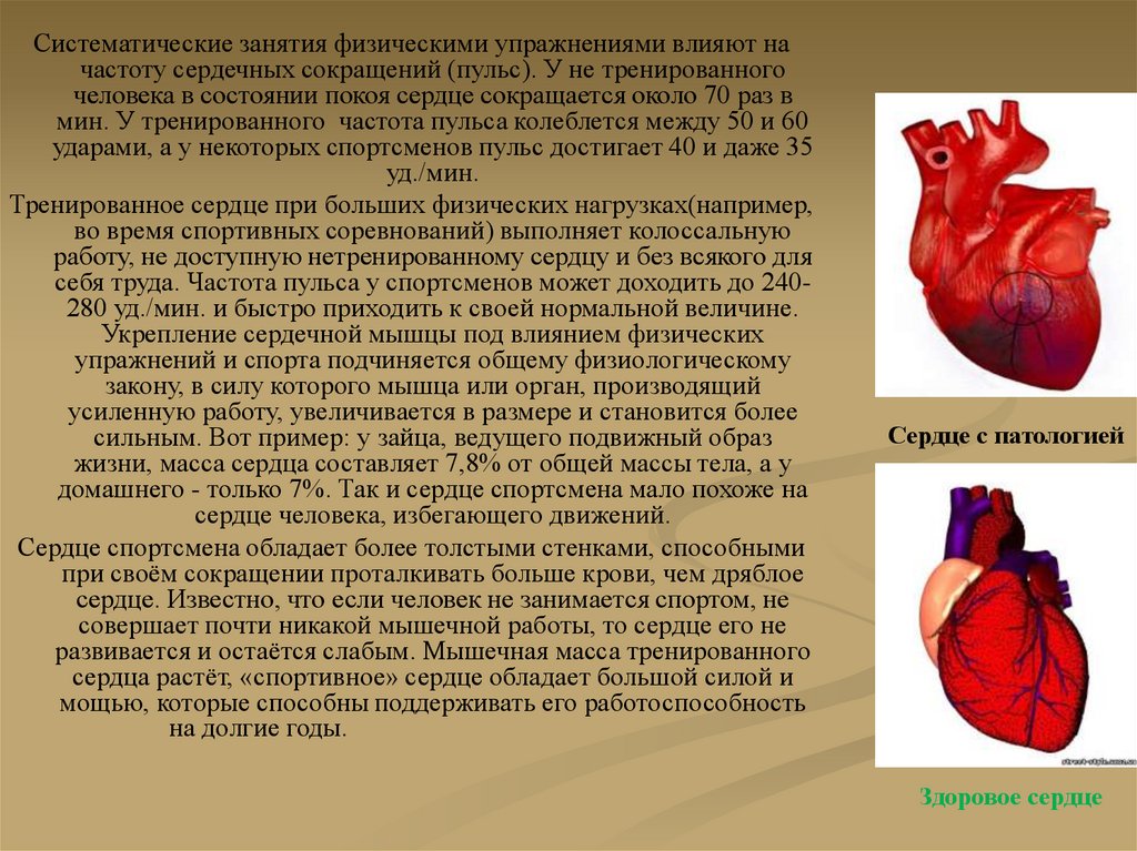 Тренированность сердца. Упражнения для сердечно-сосудистой системы. Сердце человека для презентации. Тренировка сердечно-сосудистой системы.