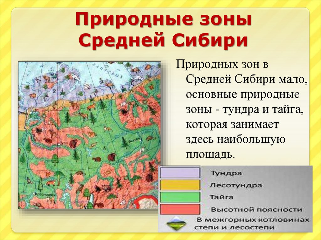 В какой природной зоне находится рязань. Природные зоны. Природные зоны Сибири. Природные зоны средней Сибири. Средняя Сибирь природные зоны России.
