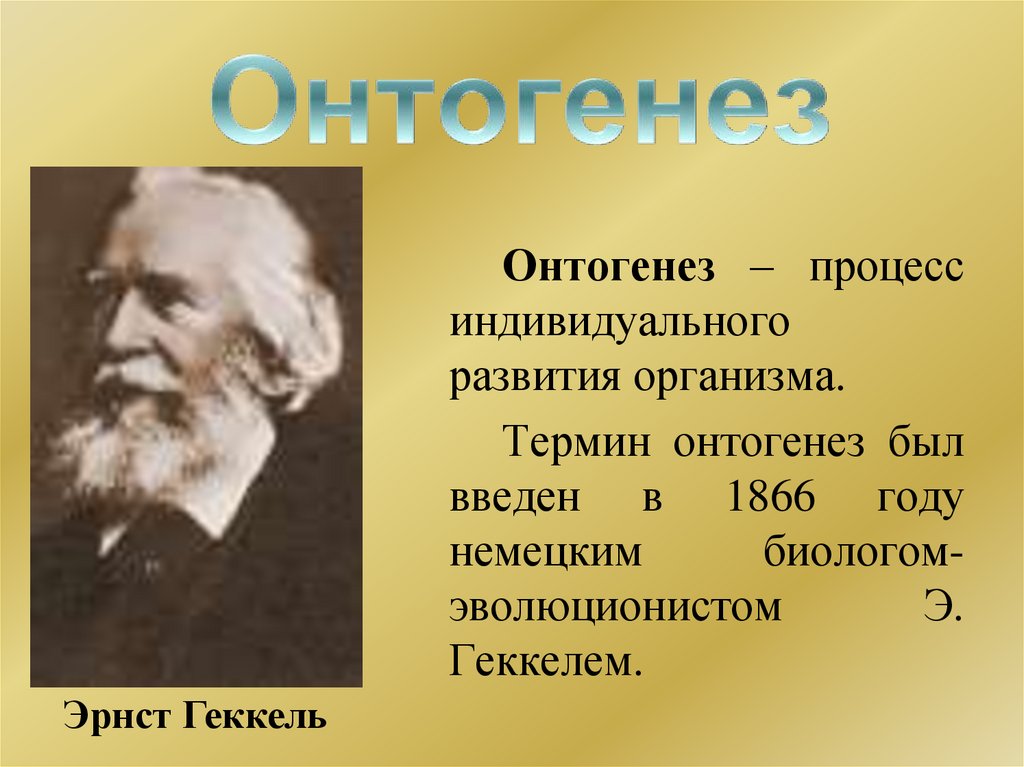 Онтогенез презентация 10 класс