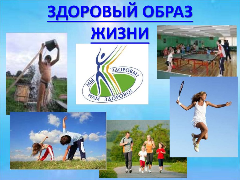 Клуб здоровая жизнь. Клуб здоровая жизнь